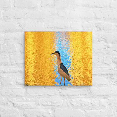 Canvas birds of the world crowned Night-Heron 0001 16″×20″