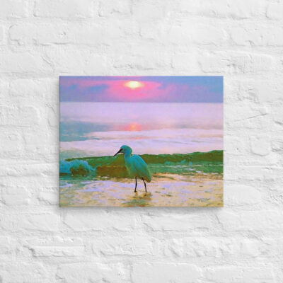 Canvas birds of the world Egret 0002 16″×20″