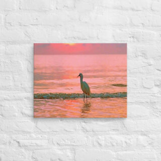 canvas-in-16x20-front-6901955952cc8.jpg Canvas birds of the world Egret 0003 16″×20″