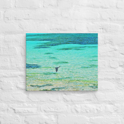 canvas-in-16x20-front-6901a3b4a1289.jpg Canvas birds of the world Great Blue Heron 0004 16″×20″