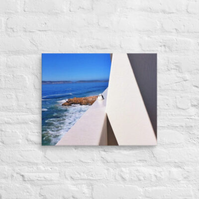 canvas-in-16x20-front-6901a84a10a69.jpg Canvas birds of the world Sea Gull 0007 16″×20″