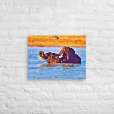 canvas-in-18x24-front-68ed868ee0d0a.jpg Canvas elephant 0005 18″×24″