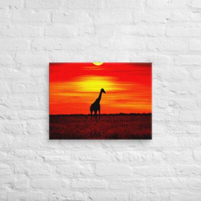 Canvas giraffe 0001 18″×24″