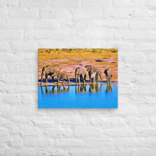 canvas-in-18x24-front-68ed96684cd18.jpg Canvas elephant 0003 18″×24″