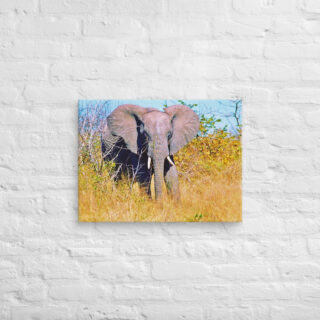 canvas-in-18x24-front-68ed976cccdd1.jpg Canvas elephant 0002 18″×24″