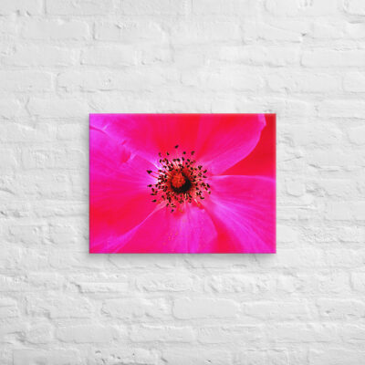canvas-in-18x24-front-68edbe7c89148.jpg Canvas abstract flora 0010 18″×24″
