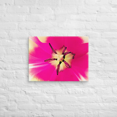 canvas-in-18x24-front-68edc29111a48.jpg Canvas abstract flora 0006 18″×24″