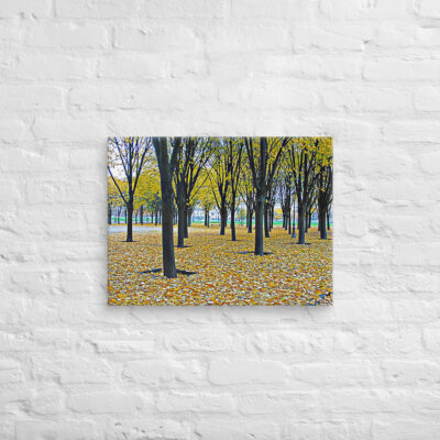 canvas-in-18x24-front-68f0097d73404.jpg Canvas French Paris Foliage 003 18″×24″