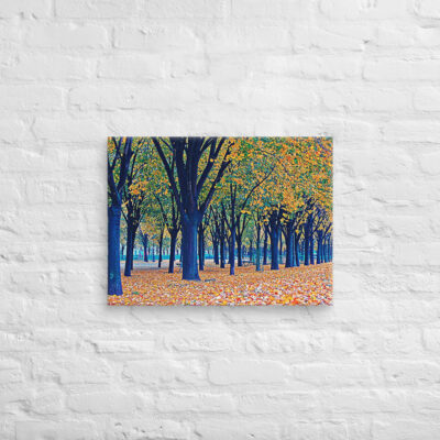 Canvas French Paris Foliage 002 18″×24″