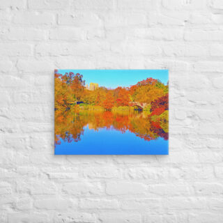canvas-in-18x24-front-68f11390f1753.jpg Canvas us New York City Central Park 0006 18″×24″