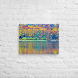 canvas-in-18x24-front-68f4558cc9478.jpg Canvas France Provence Foliage 0009 18″×24″