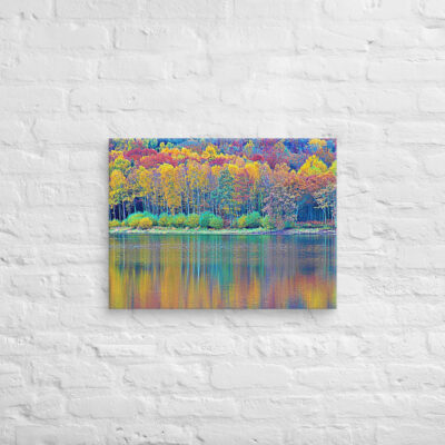 canvas-in-18x24-front-68f4558cc9478.jpg Canvas France Provence Foliage 0009 18″×24″