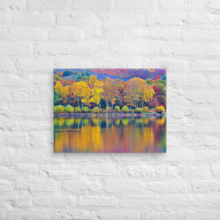 canvas-in-18x24-front-68f4571931bb5.jpg Canvas France Provence Foliage 0008 18″×24″