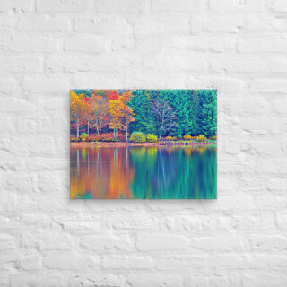 canvas-in-18x24-front-68f45851201d3.jpg Canvas France Provence Foliage 0007 18″×24″