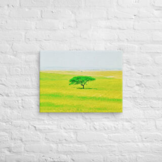 Canvas israel negev 0002 18″×24″