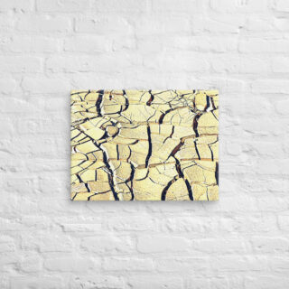 Canvas israel negev 0003 18″×24″