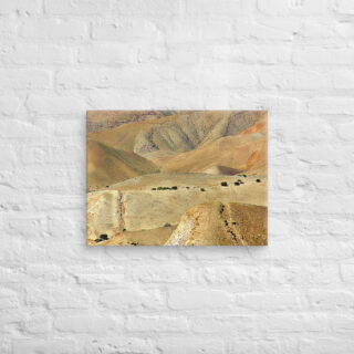 Canvas israel judean desert 0005 18″×24″