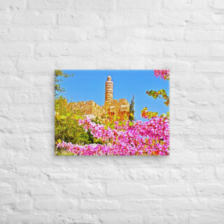 Canvas jerusalem old city david tower 0002 18″×24″