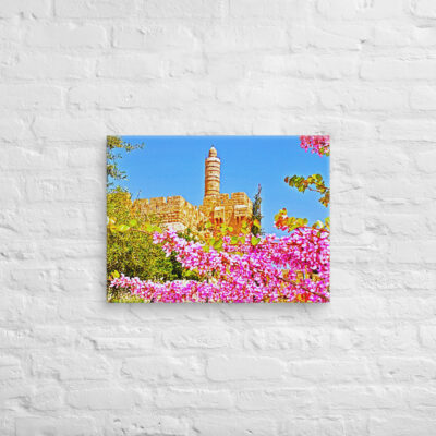 Canvas jerusalem old city david tower 0002 18″×24″