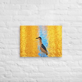 canvas-in-18x24-front-6901925c4c8cf.jpg Canvas birds of the world crowned Night-Heron 0001 18″×24″