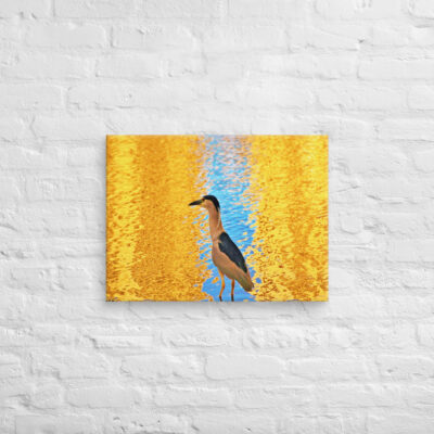 Canvas birds of the world crowned Night-Heron 0001 18″×24″