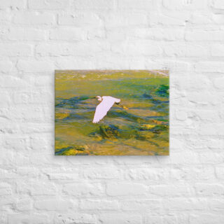 canvas-in-18x24-front-690194c3b418d.jpg Canvas birds of the world Egret 0001 18″×24″
