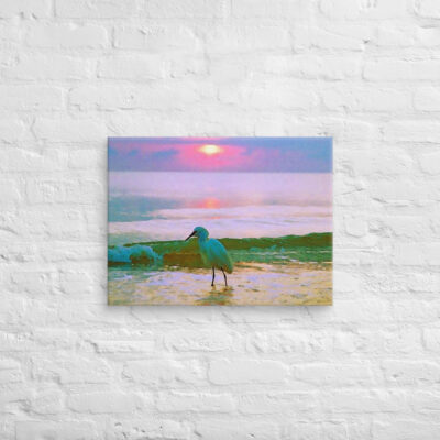 canvas-in-18x24-front-69019518d101f.jpg Canvas birds of the world Egret 0002 18″×24″