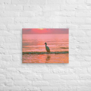 canvas-in-18x24-front-69019573b1214.jpg Canvas birds of the world Egret 0003 18″×24″