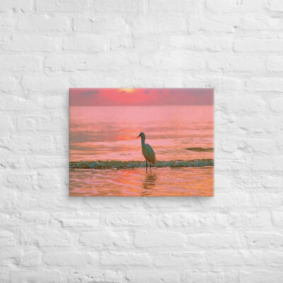 canvas-in-18x24-front-69019573b1214.jpg Canvas birds of the world Egret 0003 18″×24″