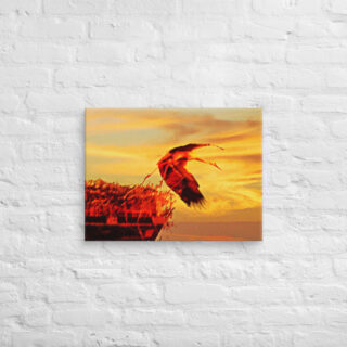 canvas-in-18x24-front-69019ae8f0c2b.jpg Canvas birds of the world Stork 0001 18″×24″