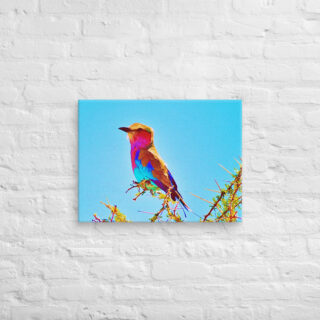 canvas-in-18x24-front-69019d2d07085.jpg Canvas birds of the world Roller 0001 18″×24″