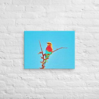 canvas-in-18x24-front-69019d7dac334.jpg Canvas birds of the world Roller 0002 18″×24″