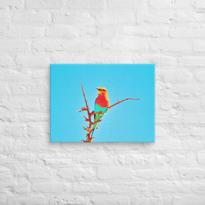 canvas-in-18x24-front-69019d7dac334.jpg Canvas birds of the world Roller 0002 18″×24″