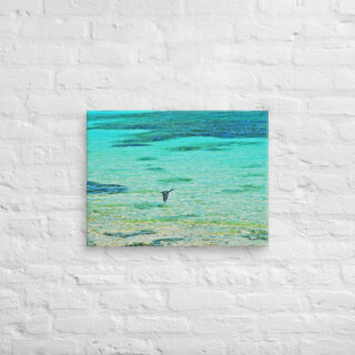canvas-in-18x24-front-6901a3d43aece.jpg Canvas birds of the world Great Blue Heron 0004 18″×24″