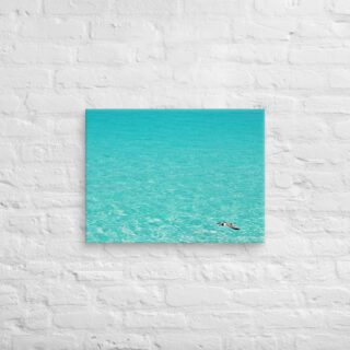 canvas-in-18x24-front-6901a7bf187c6.jpg Canvas birds of the world Sea Gull 0005 18″×24″