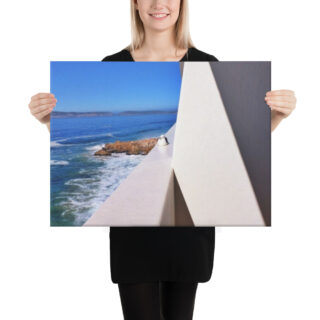 canvas-in-18x24-person-68eb0132d90e5.jpg Canvas birds of the world Sea Gull 0007 18″×24″