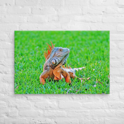 Canvas egona 0001 24″×36″