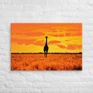 canvas-in-24x36-front-68ed921989988.jpg Canvas giraffe 0002 24″×36″