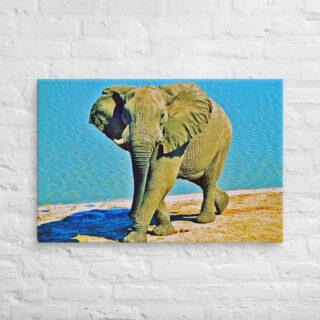 canvas-in-24x36-front-68ed94bab5019.jpg Canvas elephant 0004 24″×36″