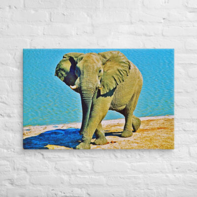 canvas-in-24x36-front-68ed94bab5019.jpg Canvas elephant 0004 24″×36″