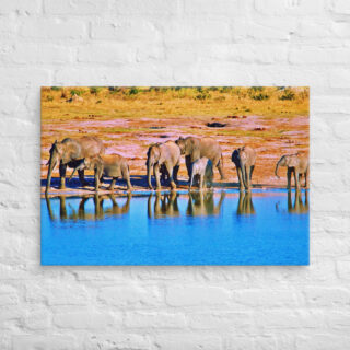 canvas-in-24x36-front-68ed95f04eba5.jpg Canvas elephant 0003 24″×36″