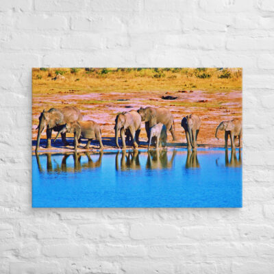 canvas-in-24x36-front-68ed95f04eba5.jpg Canvas elephant 0003 24″×36″