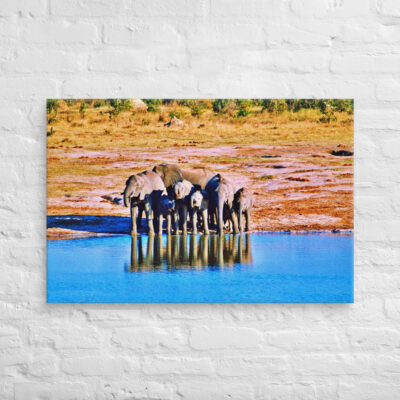 canvas-in-24x36-front-68ed983ea6088.jpg Canvas elephant 0001 24″×36″