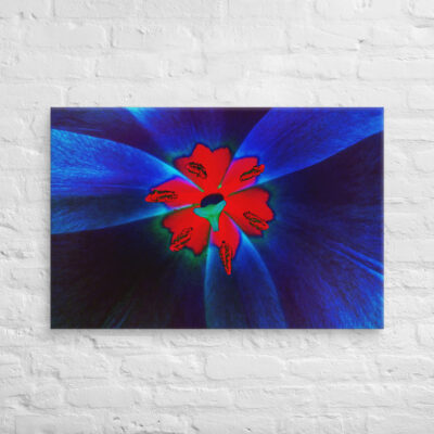 canvas-in-24x36-front-68edbf188c7af.jpg Canvas abstract flora 0009 24″×36″