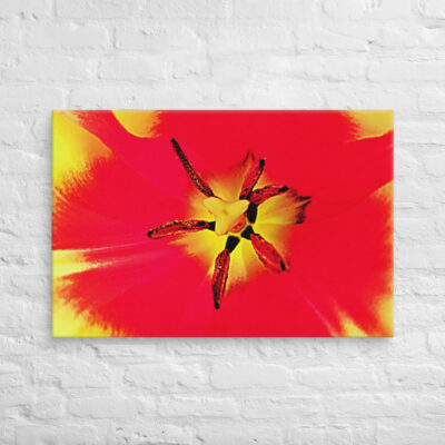 canvas-in-24x36-front-68edc0e262ddb.jpg Canvas abstract flora 0007 24″×36″