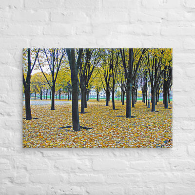 canvas-in-24x36-front-68f007a33b095.jpg Canvas French Paris Foliage 003 24″×36″
