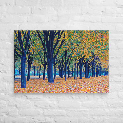 canvas-in-24x36-front-68f00a6b25c3e.jpg Canvas French Paris Foliage 002 24″×36″