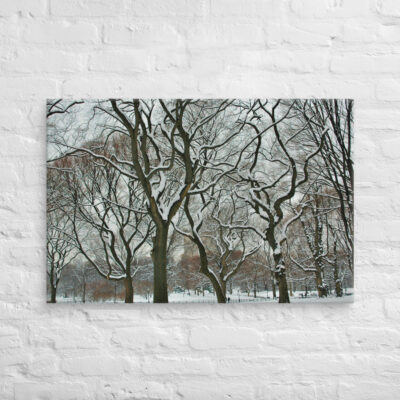 canvas-in-24x36-front-68f114ea9d463.jpg Canvas us New York City Central Park 0004 24″×36″
