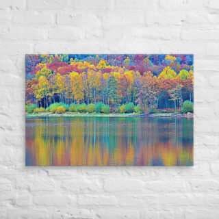 canvas-in-24x36-front-68f4553fcf99b.jpg Canvas France Provence Foliage 0009 24″×36″