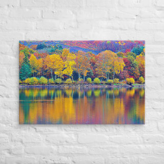 canvas-in-24x36-front-68f456dda8d0c.jpg Canvas France Provence Foliage 0008 24″×36″